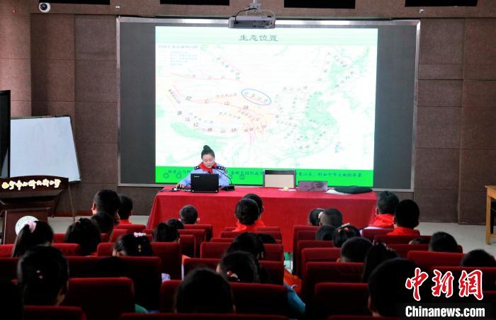 青海生态保护课走进校园：“零距离”接触野生动物